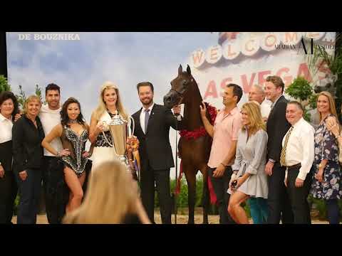 LAS VEGAS 2017 | ARABIAN INSIDER | #EPISODE 04
