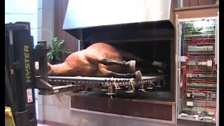 Horse Cremation processes | Animal crematorium