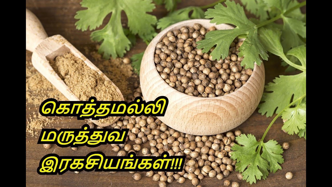 Benefits of Coriander in Tamil - Cilantro - Kothamalli Maruthuva Payangal.