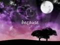 Sean Lennon-Tomorrow lyrics 