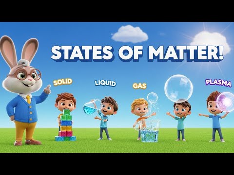 The Four States of Matter Explained for Kids  Science Adventure with Professor Paws!
