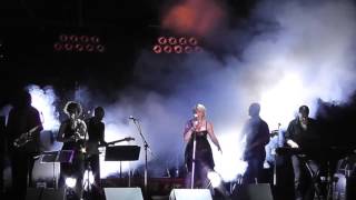 THE KAT & THE MIDNIGHTSUN