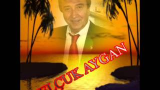 Selçuk AYGAN-Beni Bîzâr Ederken Serzenişler (SÛZNÂK)R.G.