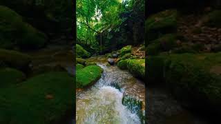 Download lagu status wa air mengalir#shorts mp3 Download lagu status wa air mengalir#shorts mp3