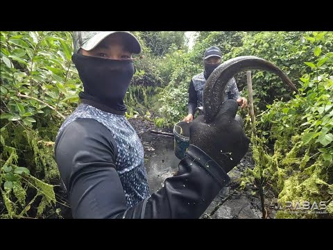 EP782-P1 - Nakarami ng Huli sa Paglimas ng Sapa