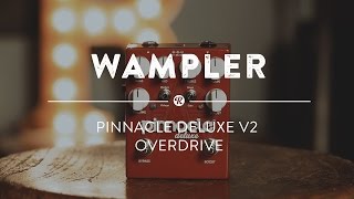 Wampler Pinnacle Deluxe V2 - відео 7