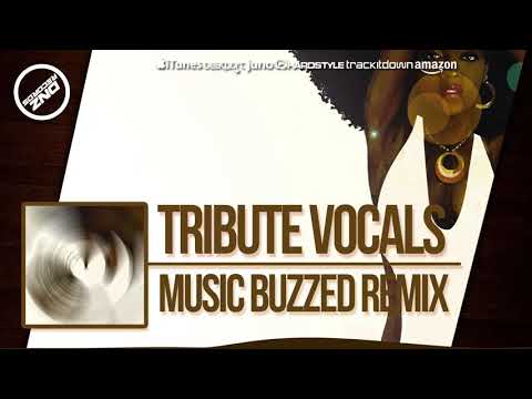 DNZ322 // TRIBUTE VOCALS - MUSIC BUZZED REMIX (Official Video DNZ RECORDS)
