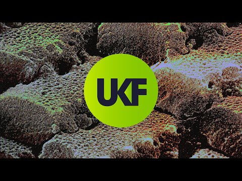 Macky Gee - Destiny Part II