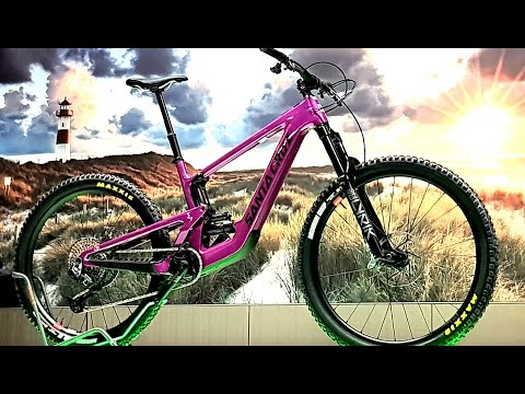 eBikes bei emotion eBike Welt Wedel