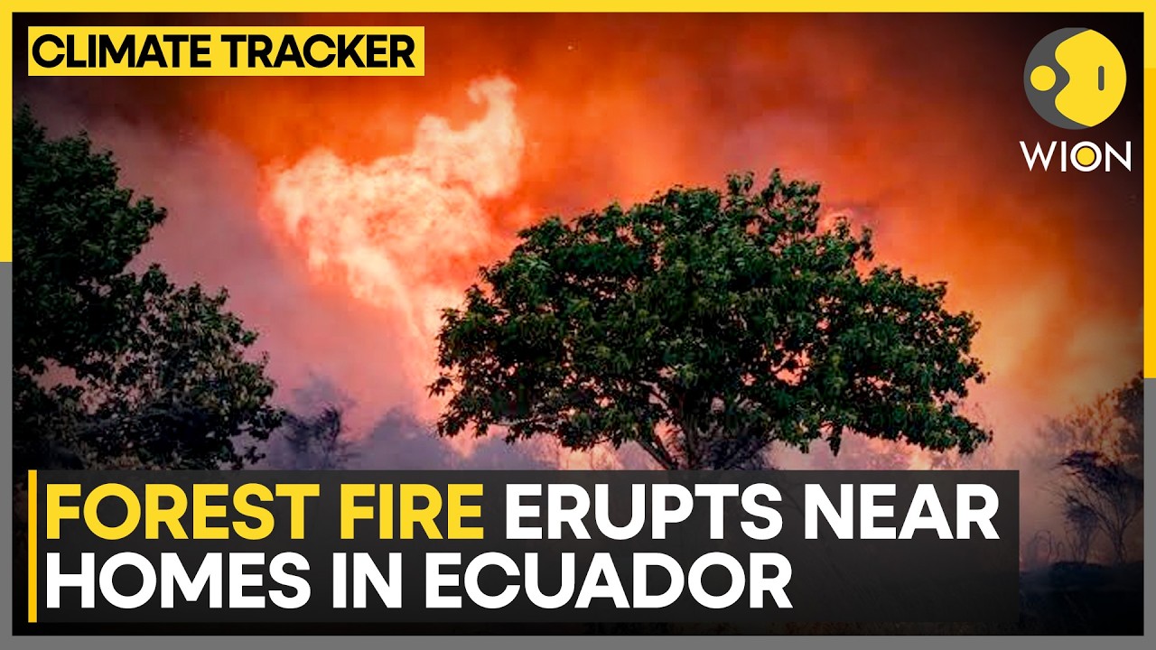 Ecuador Residents Join Battle Against Flames | WION Climate Tracker