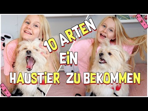 10 Ways to Convince Your Parents to Get a Pet! MaVie Noelle Family