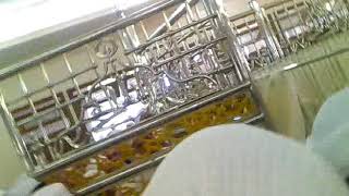 Download lagu ALMUKARRAM AL HABIB SALIM ASSYATIRI ZIARAH SEKUMPUL Sekumpul 7 Rabiul awwal 1432 mp3