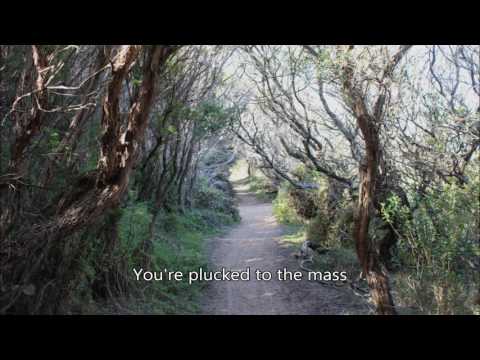 Opeth - Blackwater Park vocal cover (last quarter)