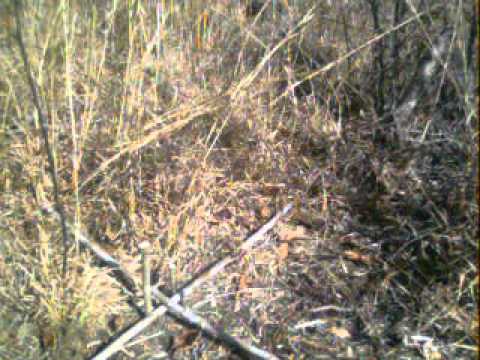 Pathfinder Phase 1 Challenge Pt4