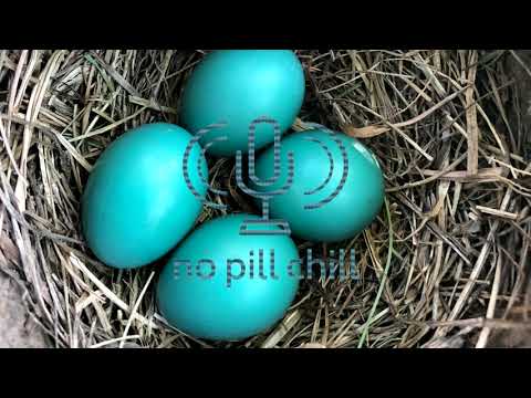 Ha-Tha (Sun Meets Moon) - Chinmaya Dunster