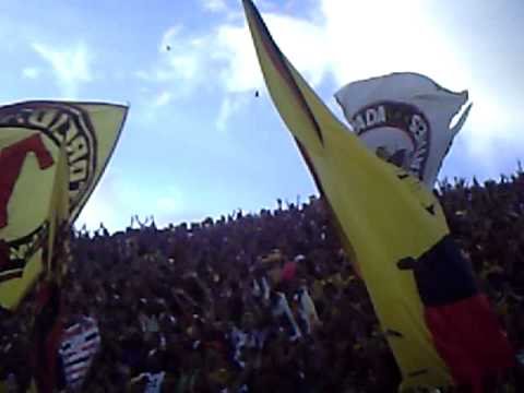 dois irmãos e várzea