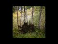 Benoît Pioulard - Stanza I-III (Full Album)