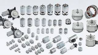 Member：Mabuchi Motor Da Nang
