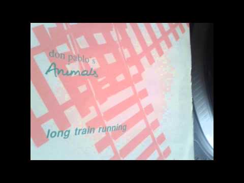 don pablos animals   DIFFERENT STORY