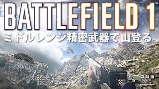 【BF1】ミドルレンジ精密武器で山登る。【実況】