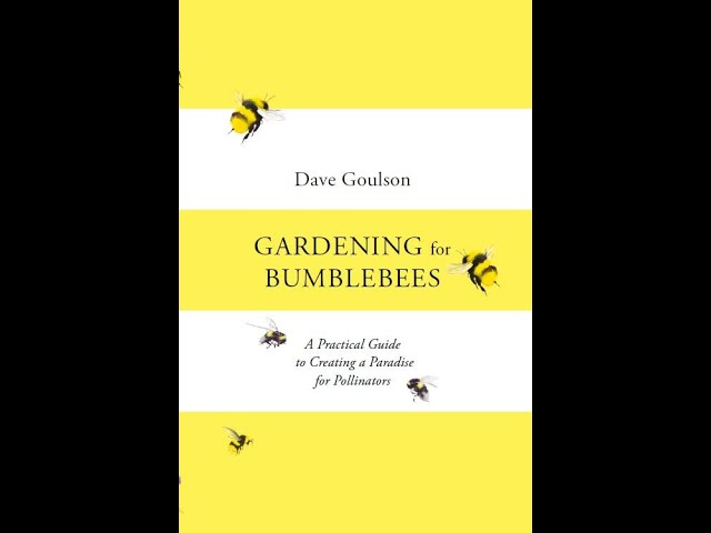 Vídeo relacionado con Gardening for Bumblebees: A Practical Guide to Creating a Paradise for Pollinators