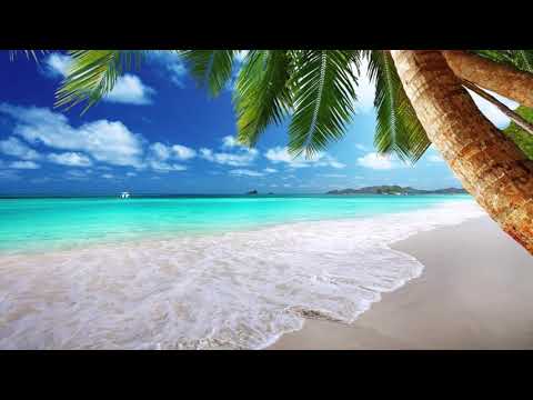 Eko Fresh X Kool Savas X Snoop Dogg - Keiner Außer Uns (Dj SCooP Remix)