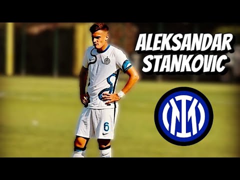 Aleksandar Stankovic • Inter Milan • Highlights Video (Goals, Assists, Skills)