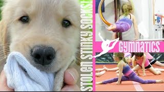 Gymnastic Splits and Stolen Stinky Socks! | Crazy8Family