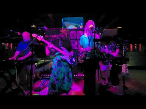 Promotional video thumbnail 3 for Rodeo Drive The Band