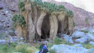 preview picture of video 'Hiking Borrego Springs Slideshow'