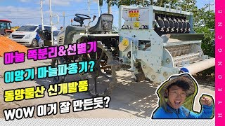 마늘쪽 분리기 선별기 마늘 농사 파종시기 이앙기 파종기 형씨네 기계파종 팜이즈