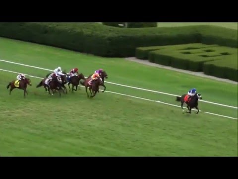 Tepin Tops 2016 Jenny Wiley