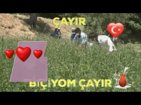 Erkan Ocaklı   Çayır Biçiyom Çayır