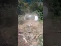 Tata Punch Build Quality Tata Puch Accident Live Accident Bindaas Drive