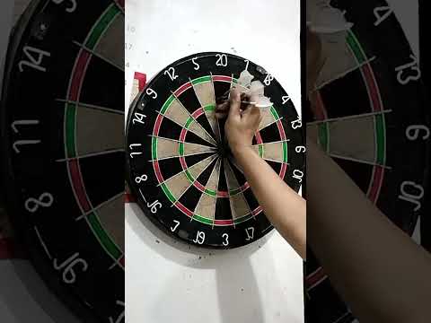 One80 Chameleon Coral darts review and 501 game