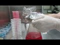 Pouring agar plates, recipes and a few tips for sterile technique.