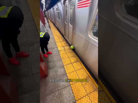 البطيخه وقعت ت ومحدش عرف يجبها