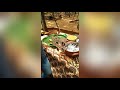 Taman Rajawali Batang Jawa Tengah Wisata Kuliner Viral BOKEP