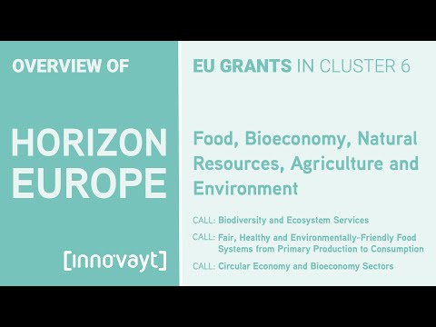 Innovation Action Grants in Horizon Europe Cluster 6 - Biodiversity, Food Systems & Circular Economy