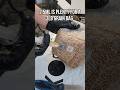 How To Inoculate A Grain Bag With Injection Port Grow Mushrooms