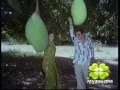 Viswaroopam Movie Songs 01 NTR Jayasudha