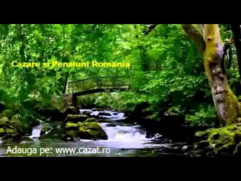 Cazare Odaia Bogdana, Vaslui - Cazat.ro