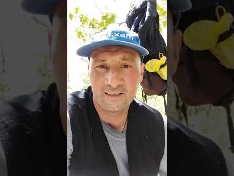 Metal detector (finally an amazing find)