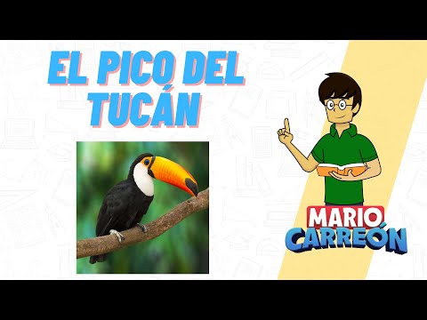 El Pico del Tucán