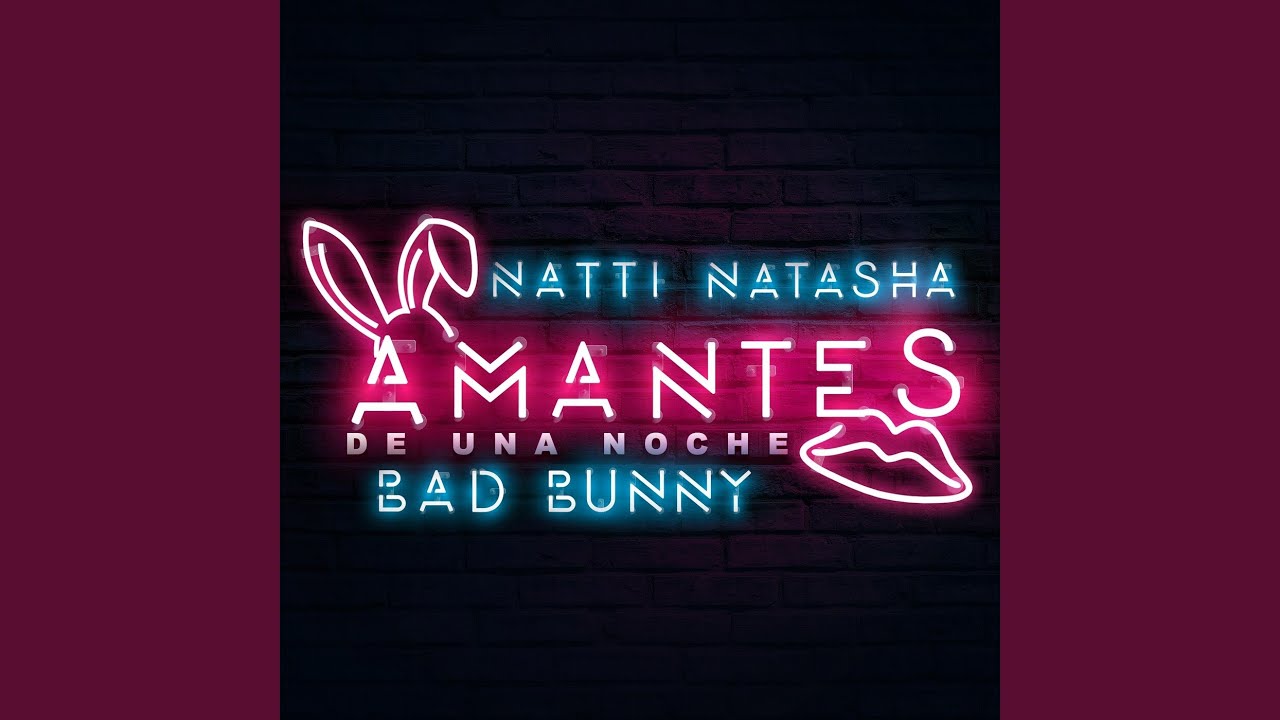 Amantes de una Noche