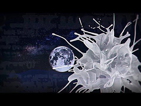 PALE MOON