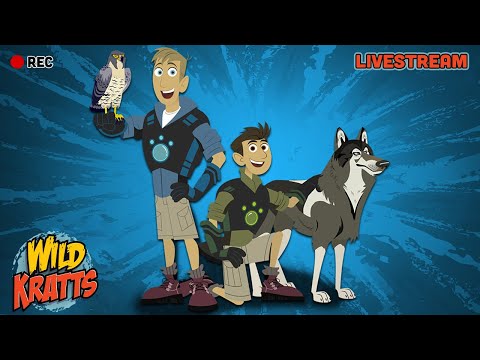 🔴 LIVE - Wild Kratts FULL EPISODE MARATHON 🦒