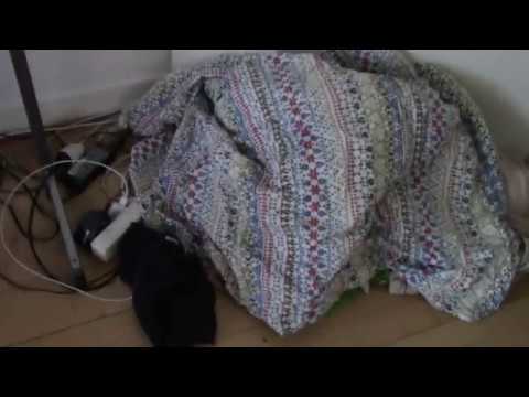 MongoTV_2408 - Støvsuger og Vasker Gulv i Soveværelse Klokken 9.30 Formiddag