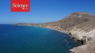 Most archaeologists think the first Americans arrived by boat. Now, they&#39;re beginning to prove it