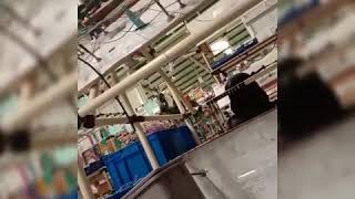 Download lagu Kenangan teman kerja (pt shuangfei) mp3